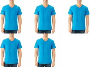 Fruit of the Loom Men's V-neck